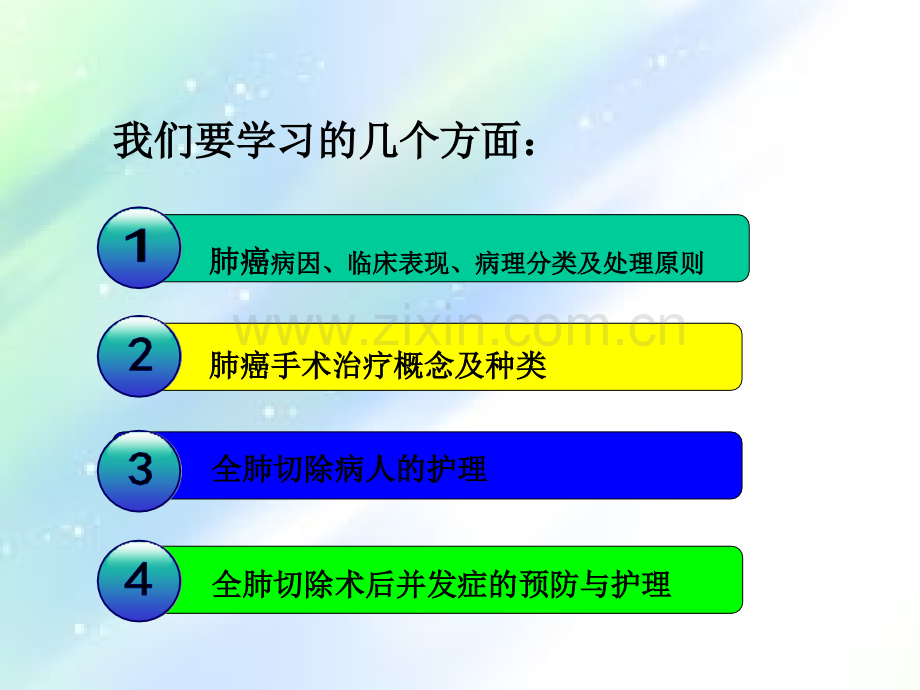肺全切护理课件完整-PPT.ppt_第2页