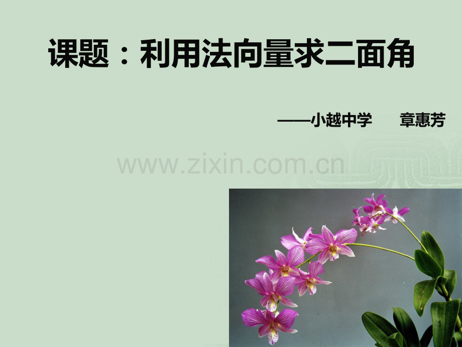 利用法向量求二面角.ppt_第1页
