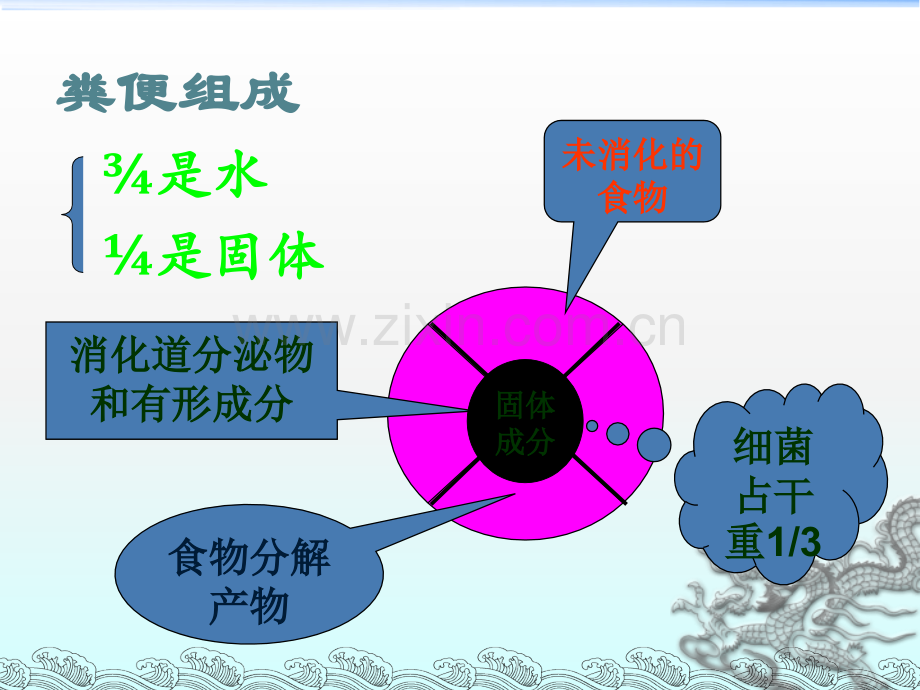 三大常规-粪便检查.ppt_第2页