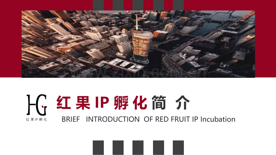红果电商网红IP孵化简介.pdf_第1页