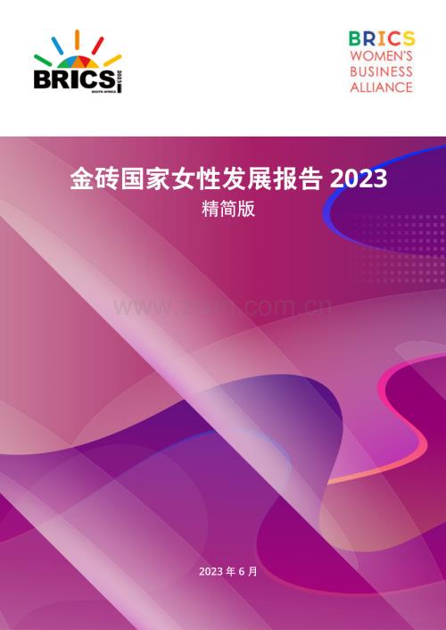 2023金砖国家女性发展报告.pdf