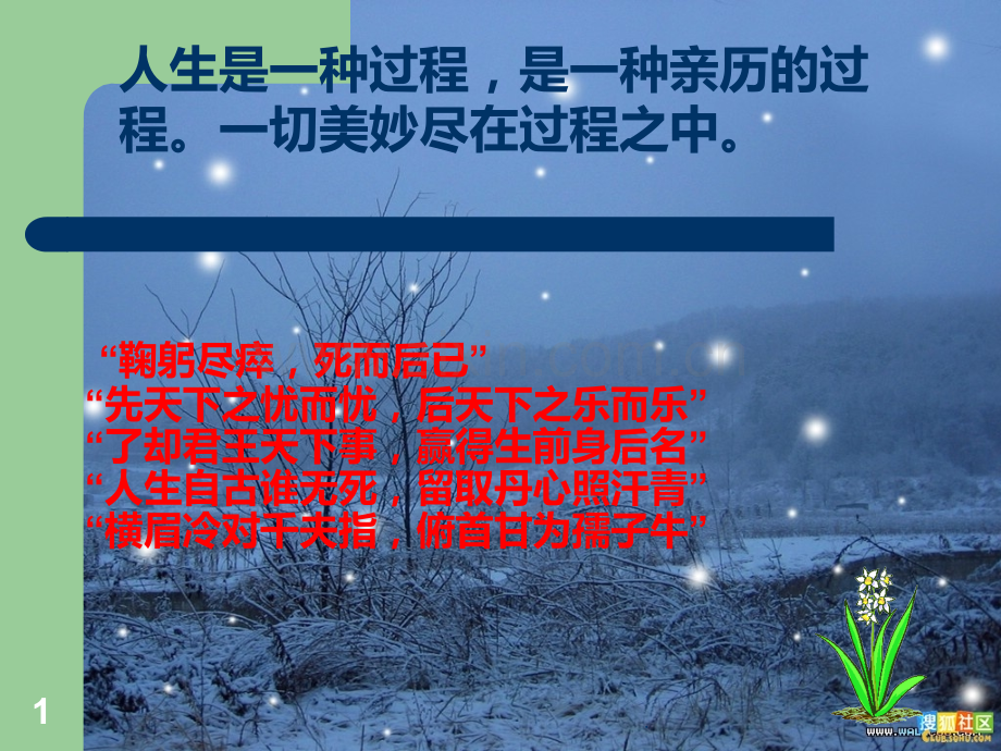 名物理学家的成长历程.ppt_第1页