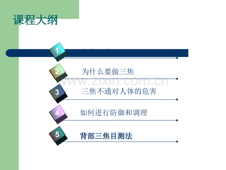 三焦排毒.ppt_第2页