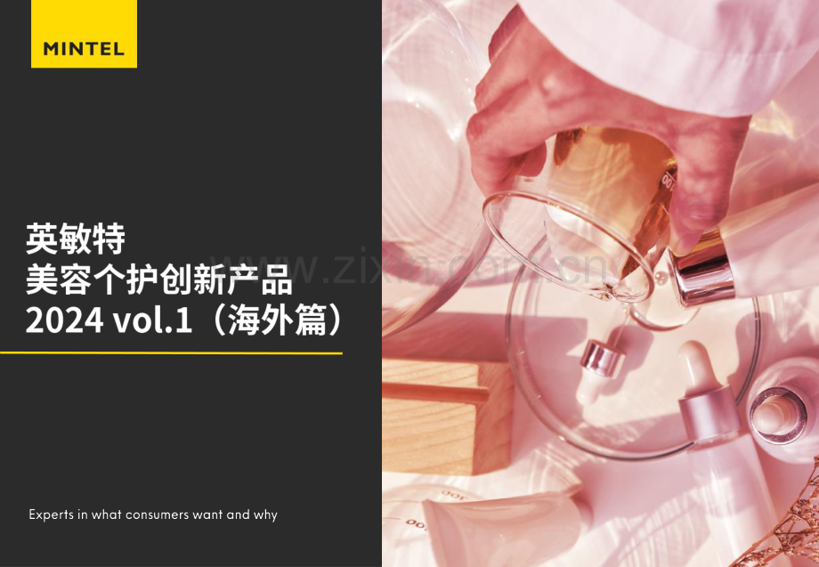 英敏特美容个护创新产品2024（海外篇）.pdf_第1页