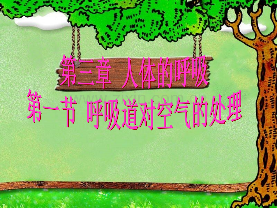 呼吸道对空气的处理-(4).ppt_第1页