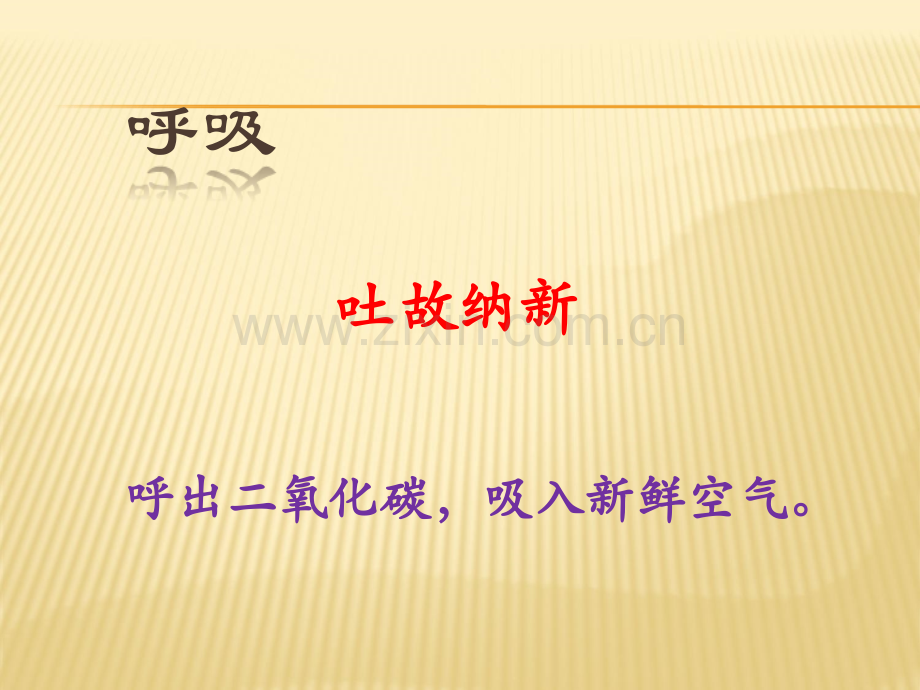 呼吸功能训练ppt课件.ppt_第2页
