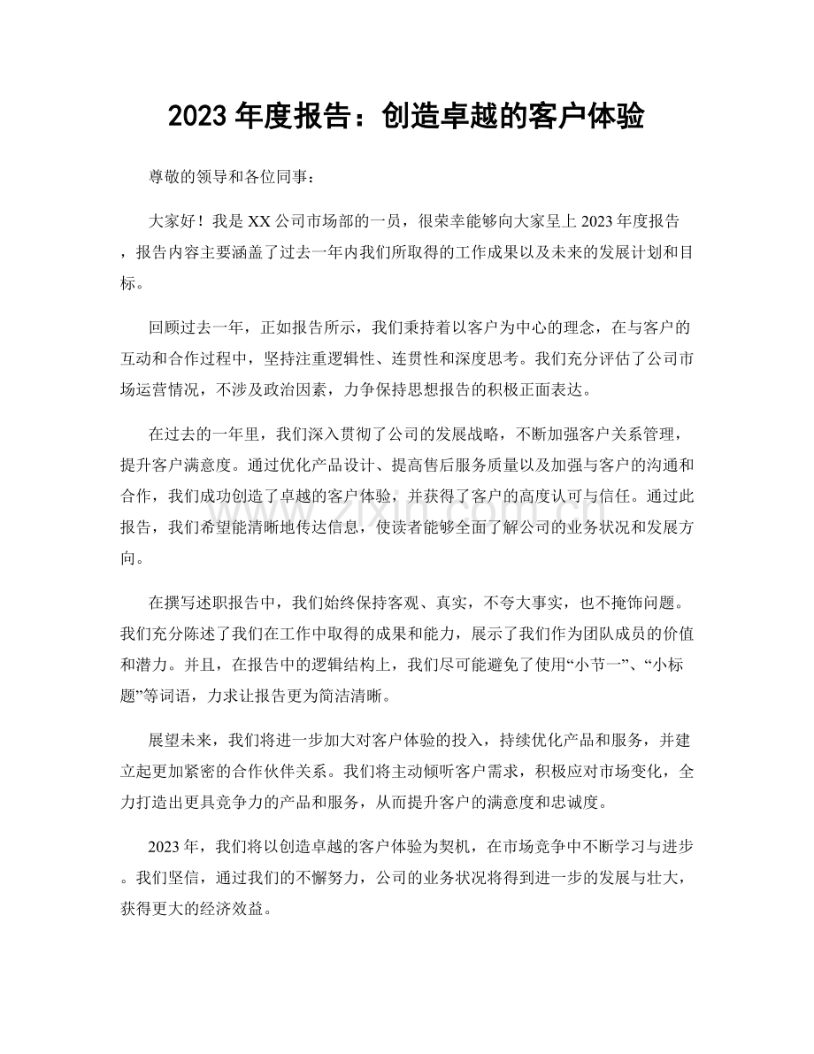 2023年度报告：创造卓越的客户体验.docx_第1页