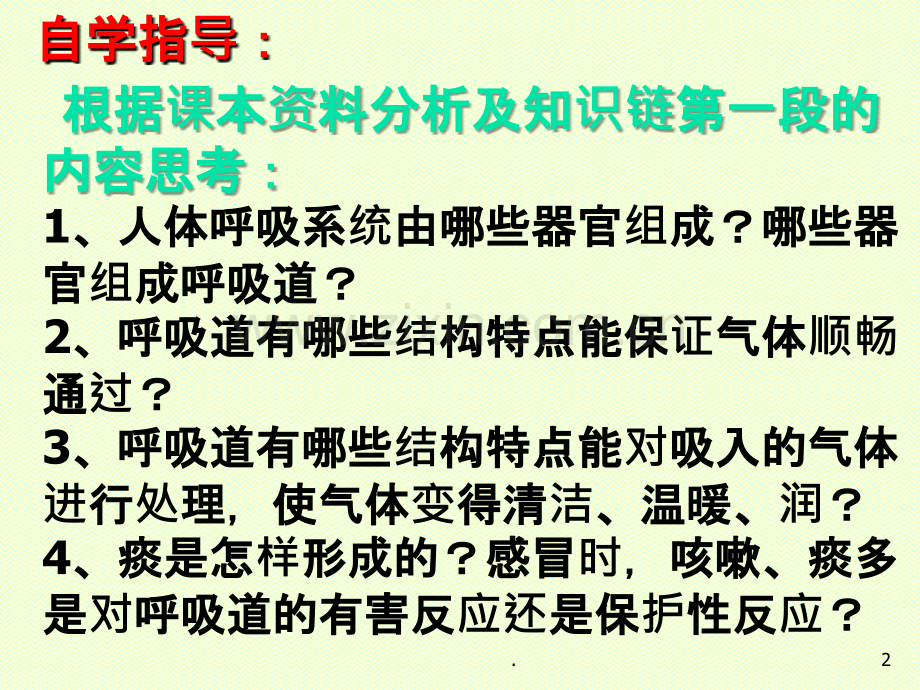呼吸道和肺的功能.ppt_第2页