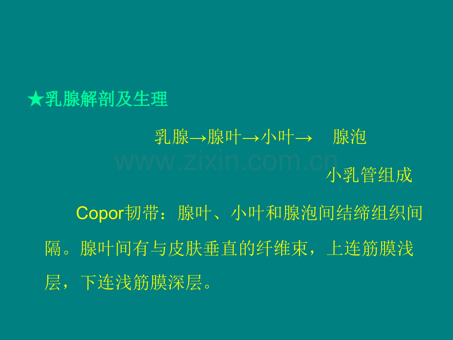 乳腺疾病ppt课件.ppt_第2页