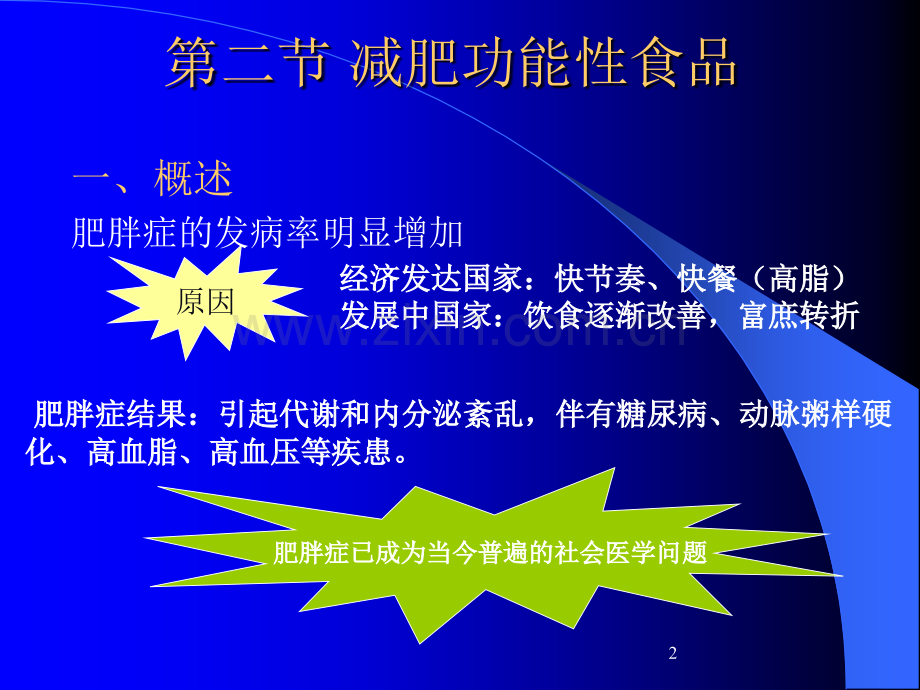 减肥功能性食品全解.ppt_第2页