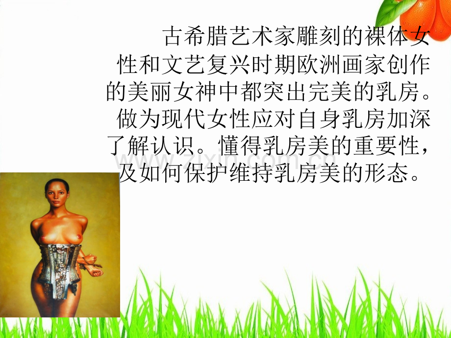 乳房专业课程ppt课件.ppt_第2页