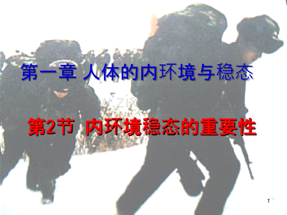 内环境稳态的重要性多次上课修改后而成.ppt_第1页