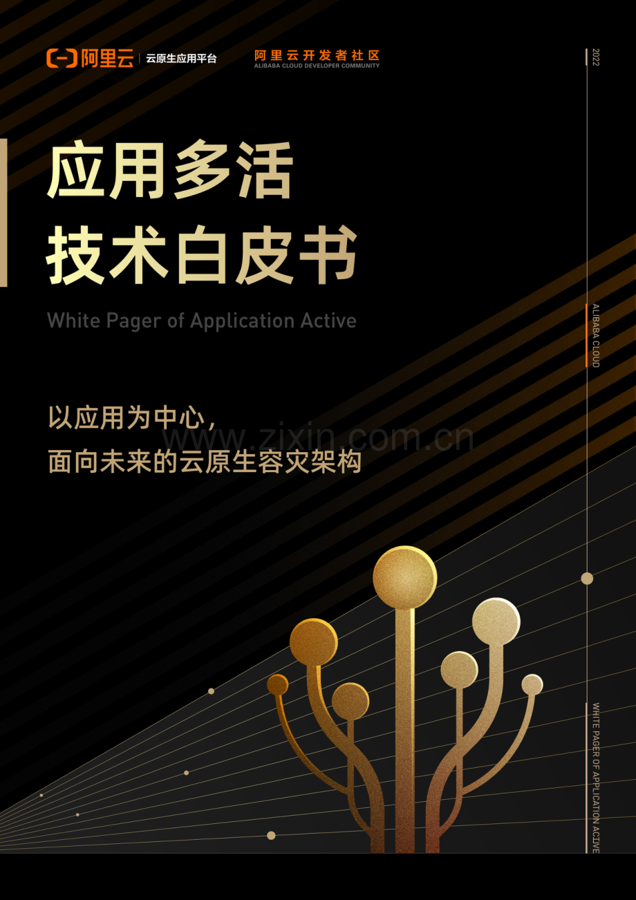 应用多活技术白皮书.pdf_第1页