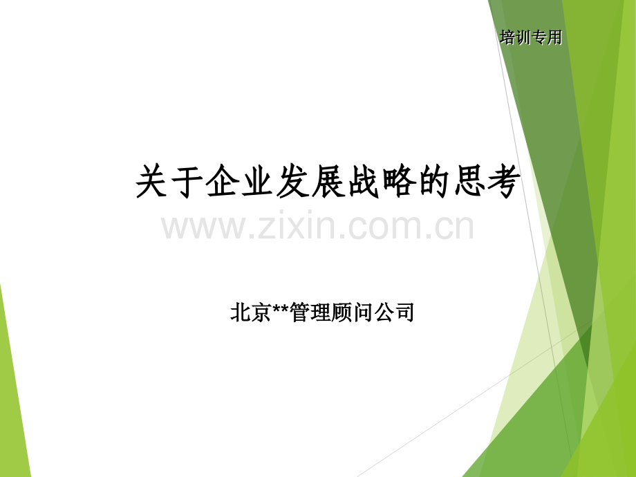 企业发展战略规划方案经典案例)、.ppt_第1页