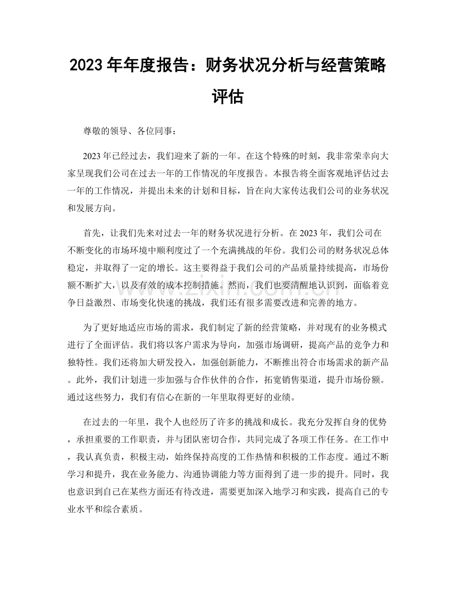 2023年年度报告：财务状况分析与经营策略评估.docx_第1页