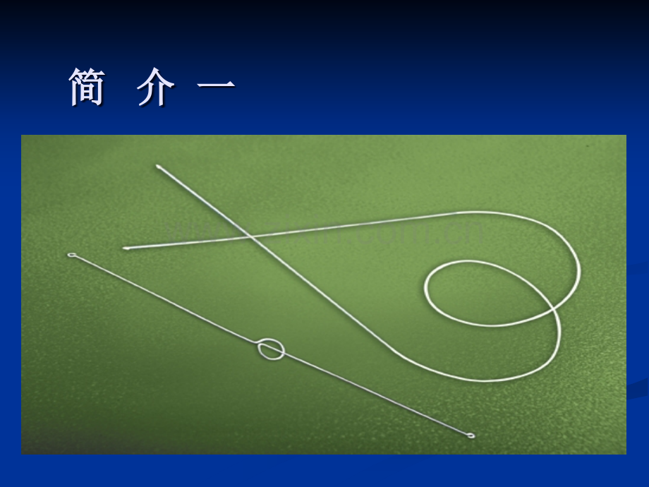 使用泪道引流官.ppt_第2页