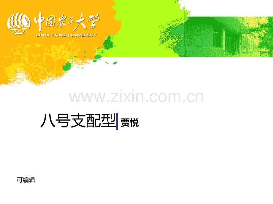 九种个性九型人格号支配型——贾悦、丁文浩、讲师、培训师、导师.ppt_第1页