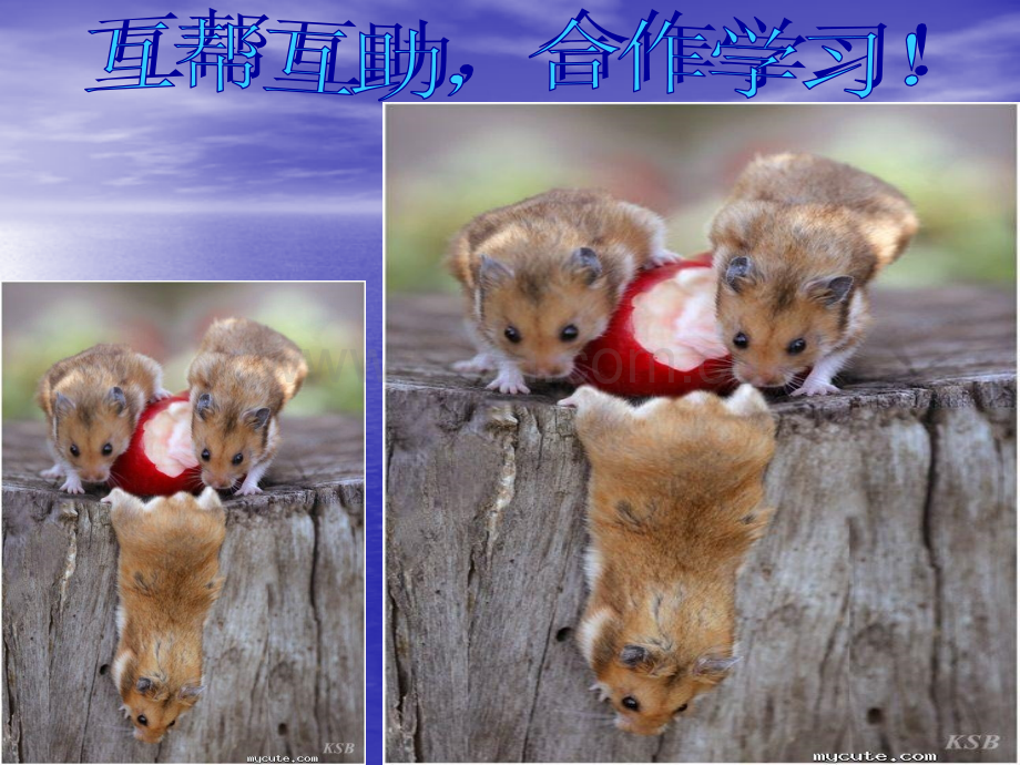 互帮互助-合作学习班会课件.ppt_第1页