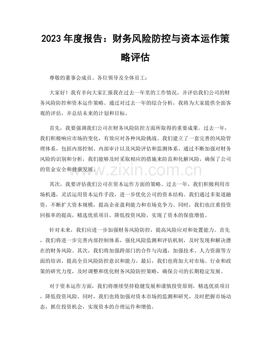 2023年度报告：财务风险防控与资本运作策略评估.docx_第1页