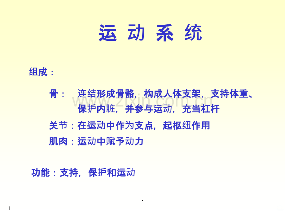 人体解剖实验.ppt_第1页