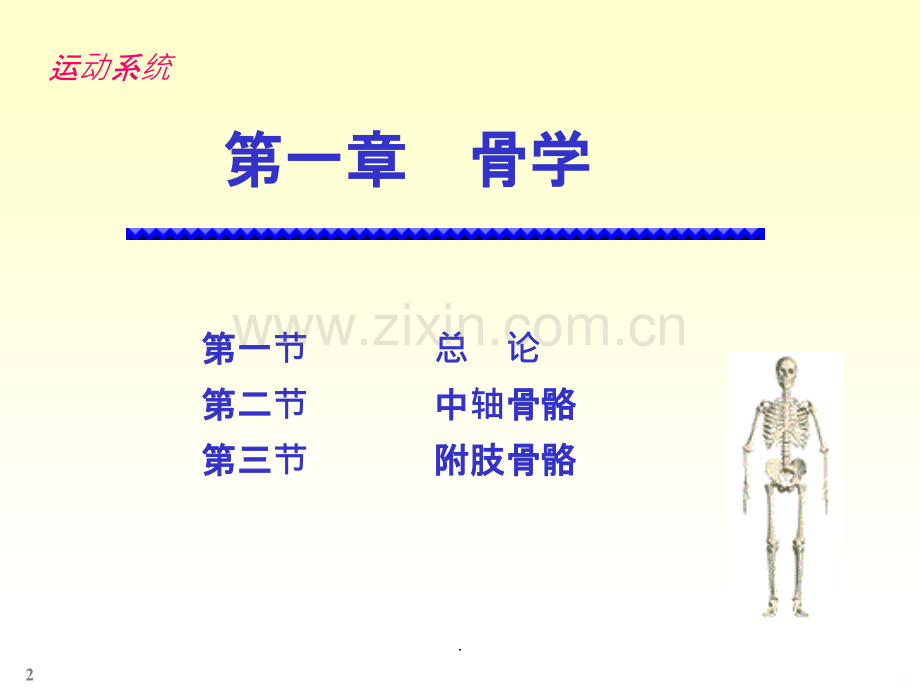 人体解剖实验.ppt_第2页