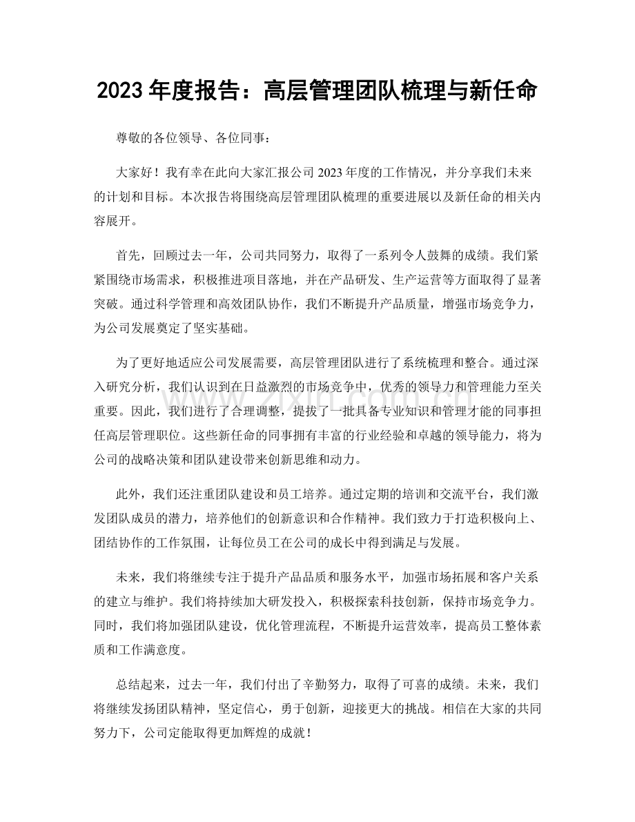 2023年度报告：高层管理团队梳理与新任命.docx_第1页