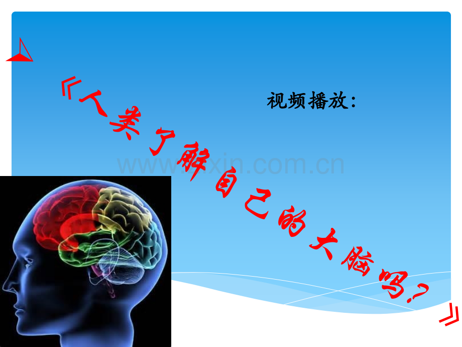 ——揭秘脑结构学习.ppt_第2页