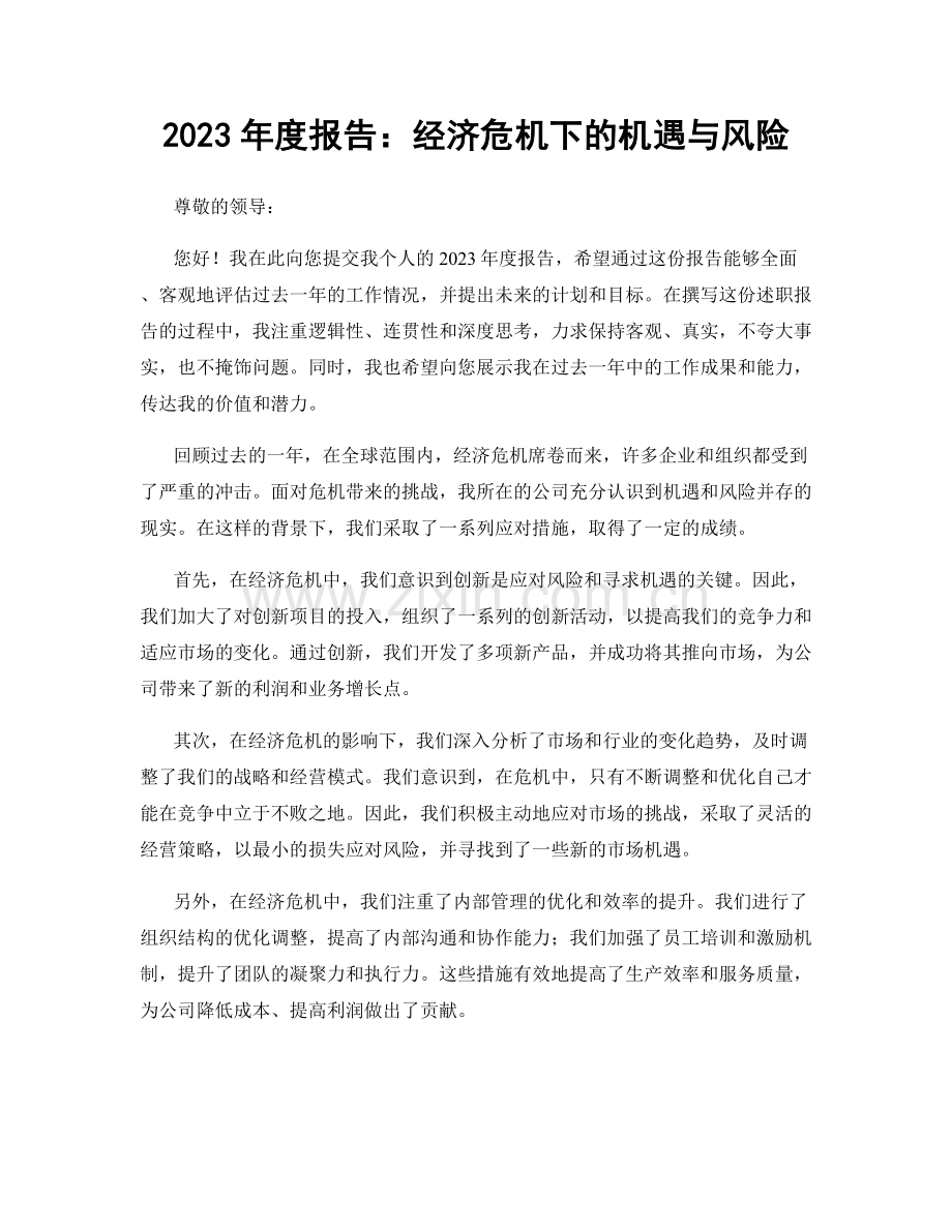 2023年度报告：经济危机下的机遇与风险.docx_第1页