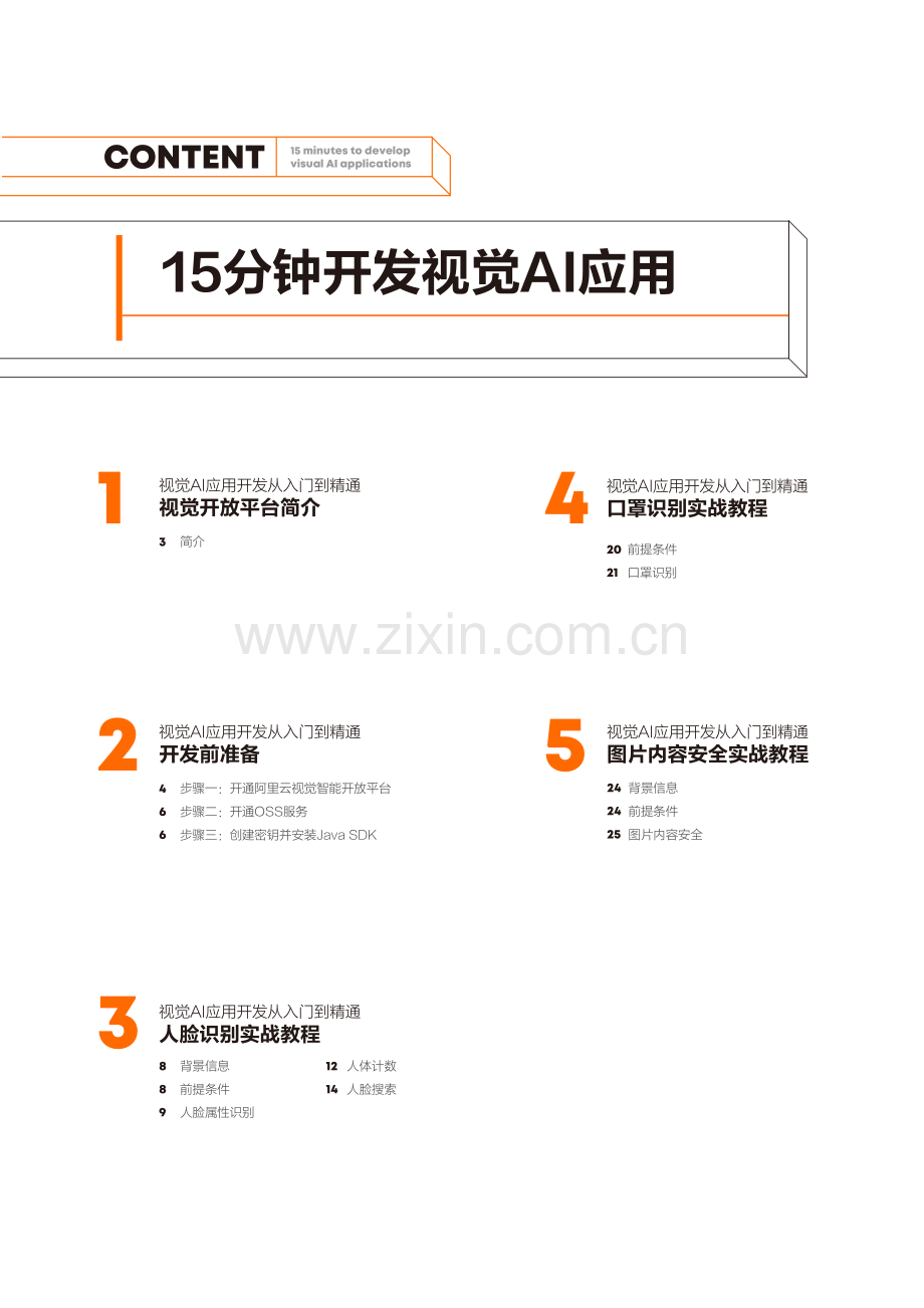 15分钟开发视觉AI应用.pdf_第2页