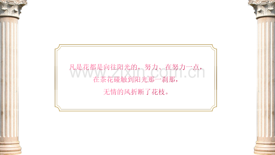 【拆书阅读笔记】-《茶花女》.pptx_第2页