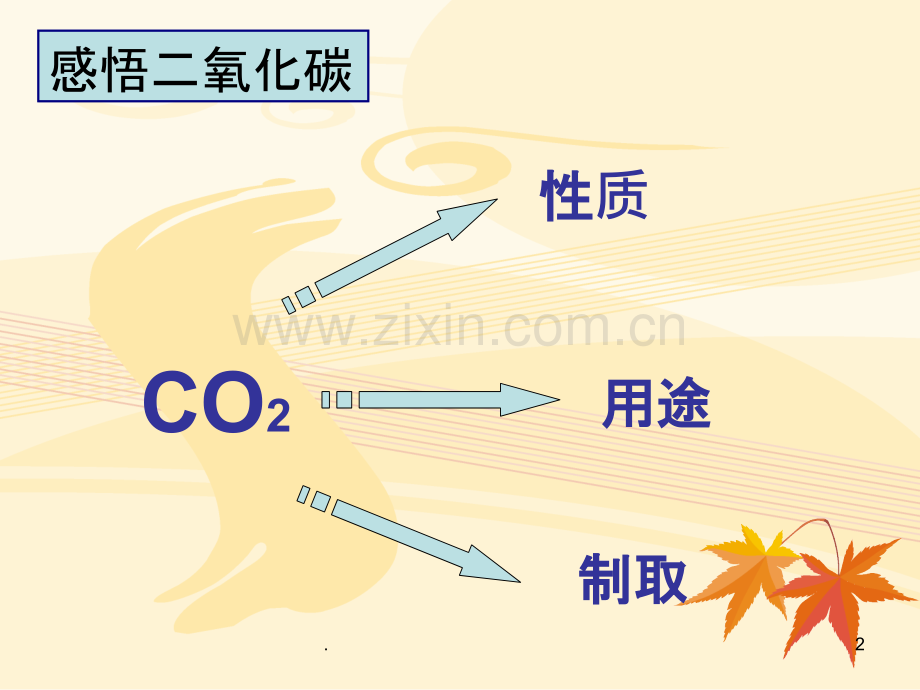 九年级化学二氧化碳的制取.ppt_第2页