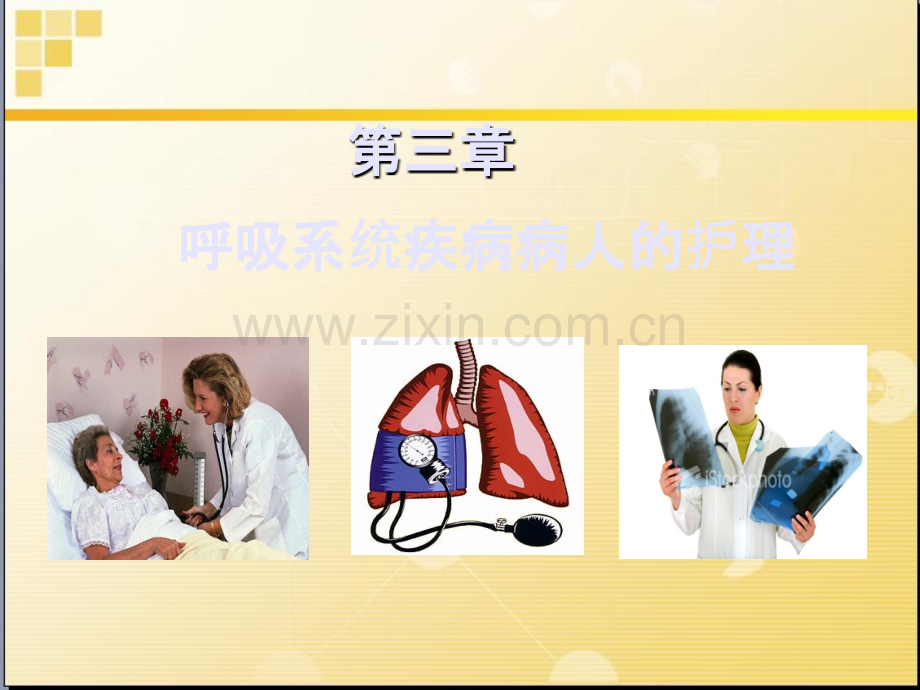 呼吸系统基础知识ppt课件.ppt_第1页