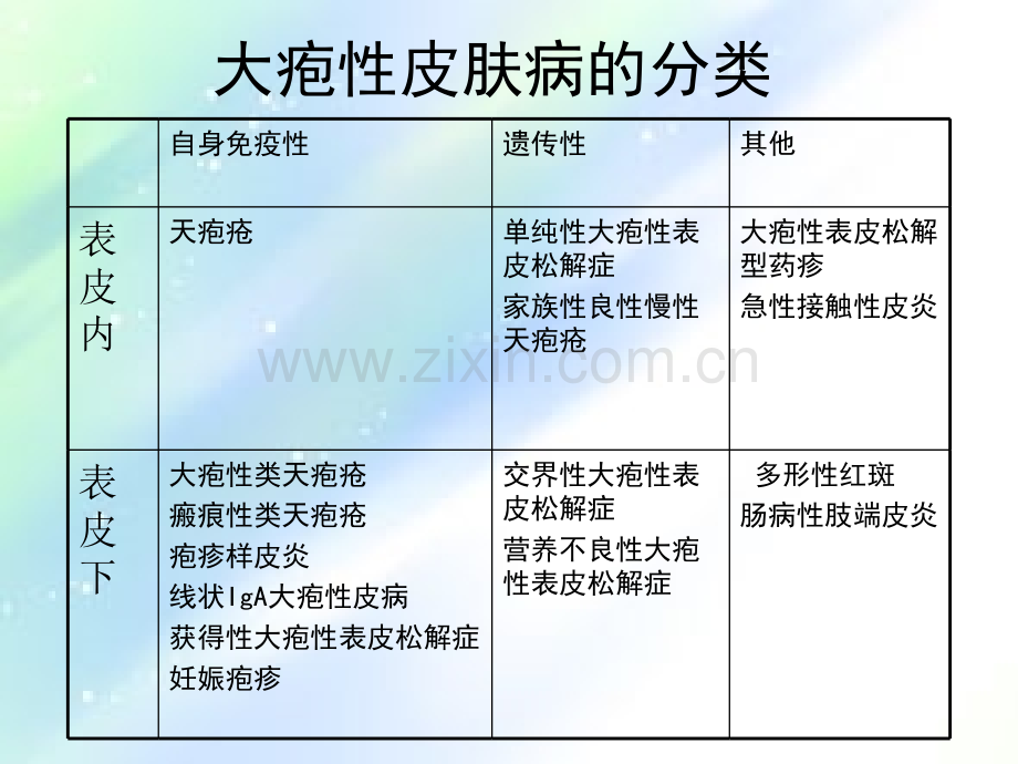 大疱性疾病.ppt_第2页