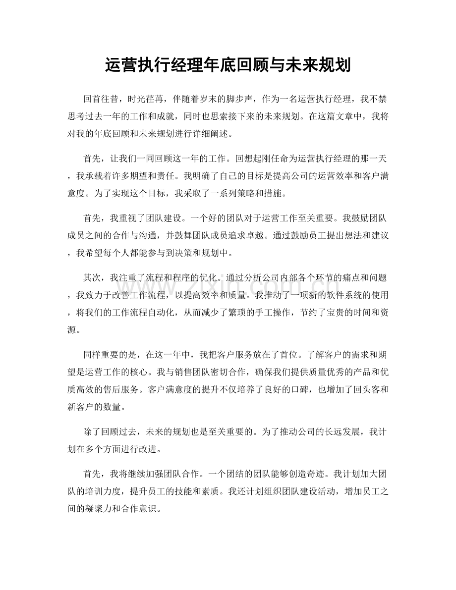 运营执行经理年底回顾与未来规划.docx_第1页