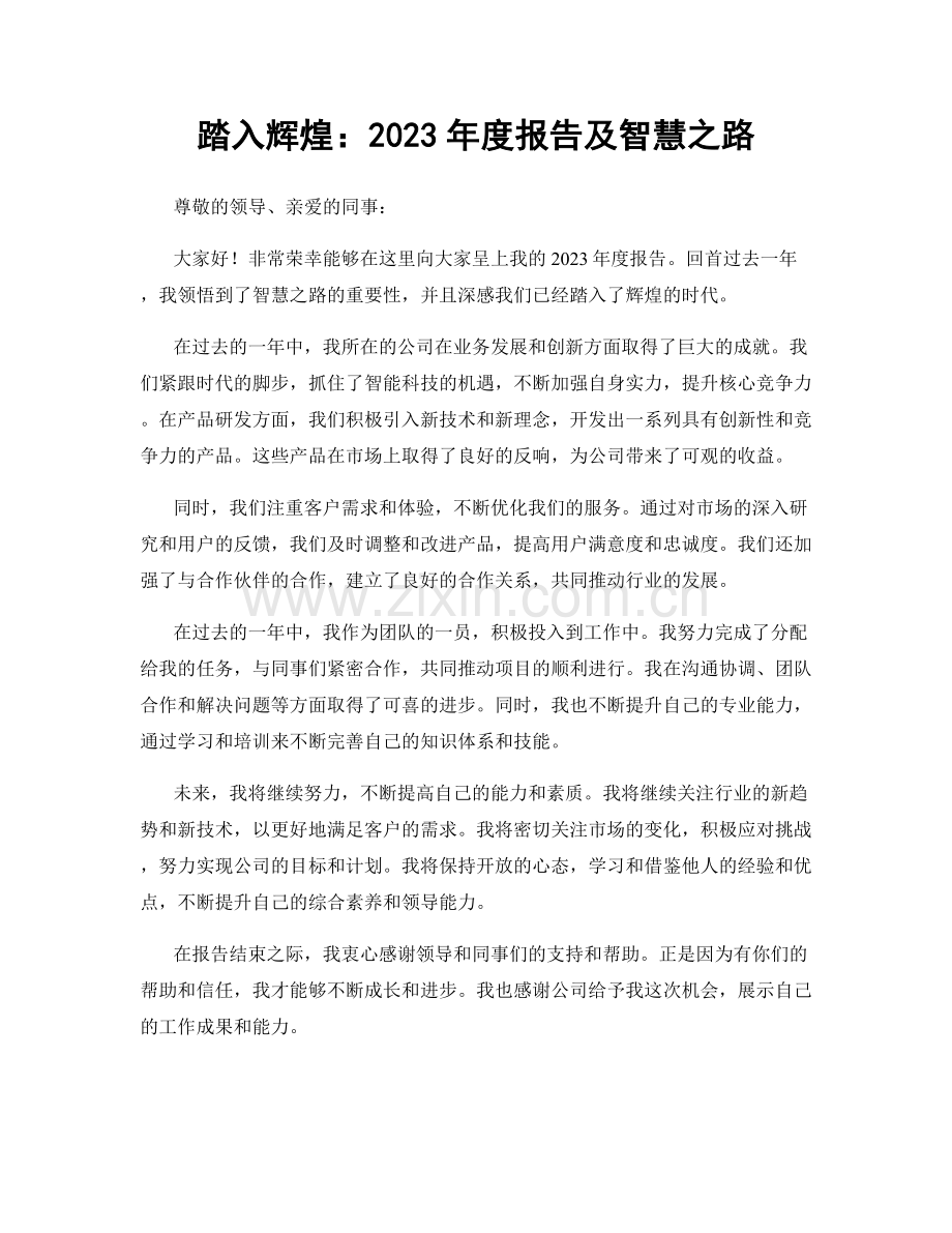 踏入辉煌：2023年度报告及智慧之路.docx_第1页