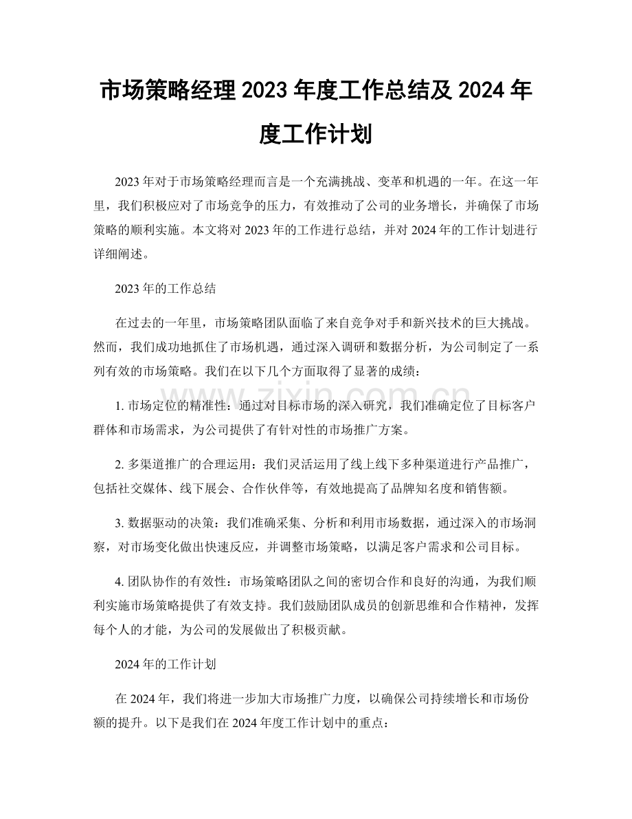市场策略经理2023年度工作总结及2024年度工作计划.docx_第1页