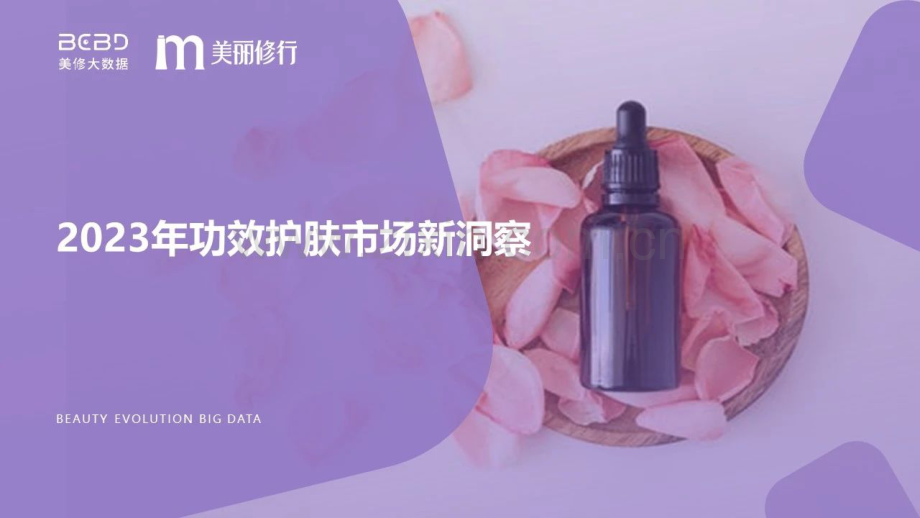 美丽修行-2023年功效护肤市场新洞察.pdf_第1页