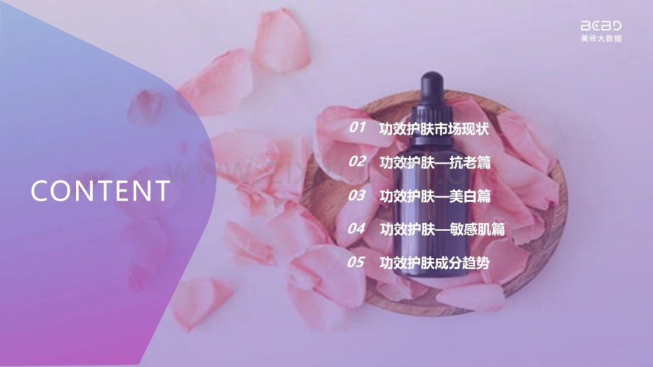 美丽修行-2023年功效护肤市场新洞察.pdf_第2页