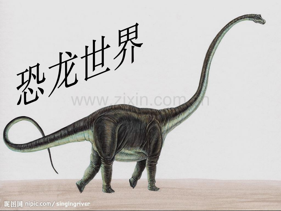 小学美术一年级下册动物唱歌摸样.pptx_第2页
