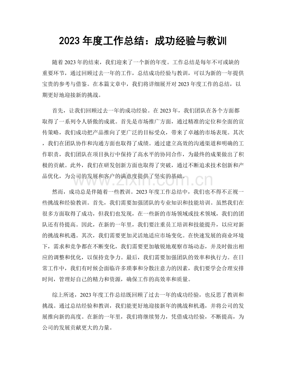2023年度工作总结：成功经验与教训.docx_第1页