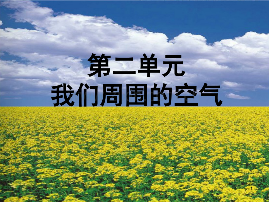 人教版氧气(35).ppt_第1页