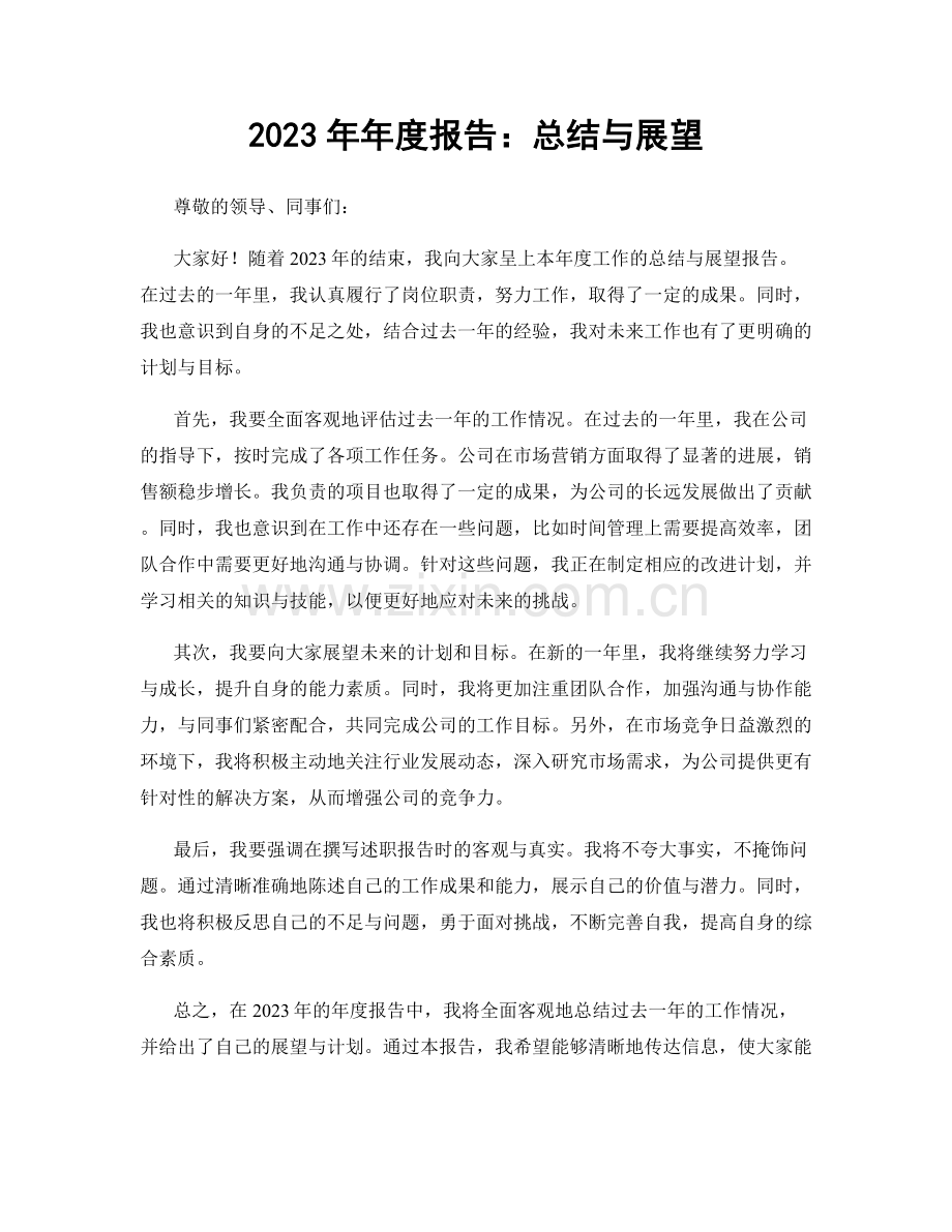 2023年年度报告：总结与展望.docx_第1页