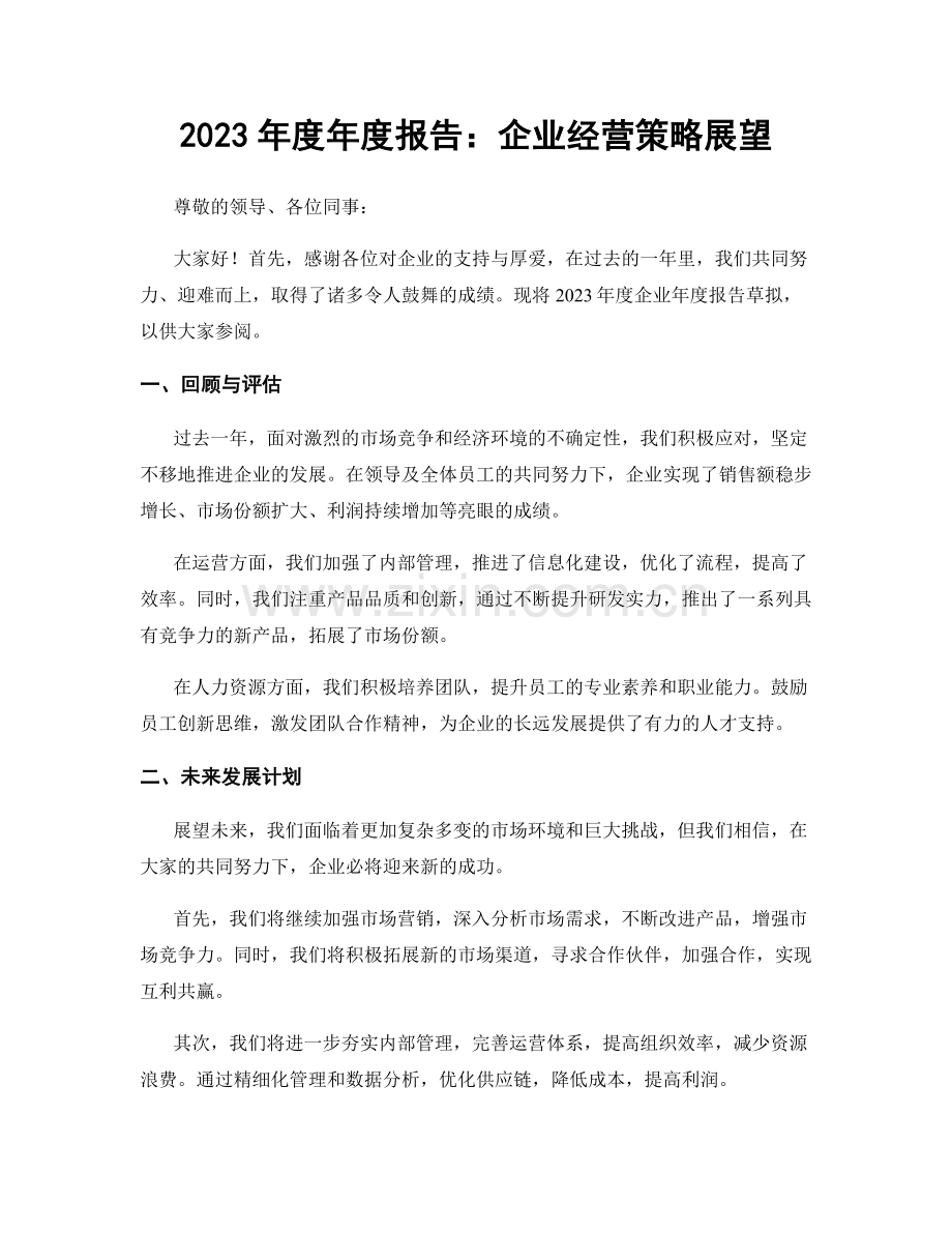 2023年度年度报告：企业经营策略展望.docx_第1页