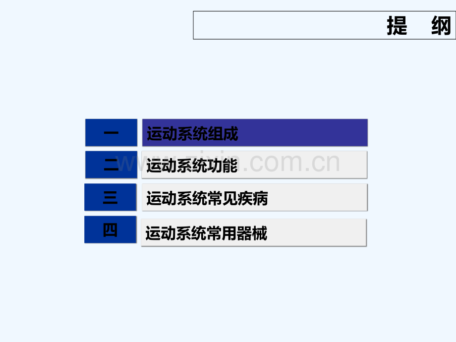 《运动系统课件》.ppt_第2页