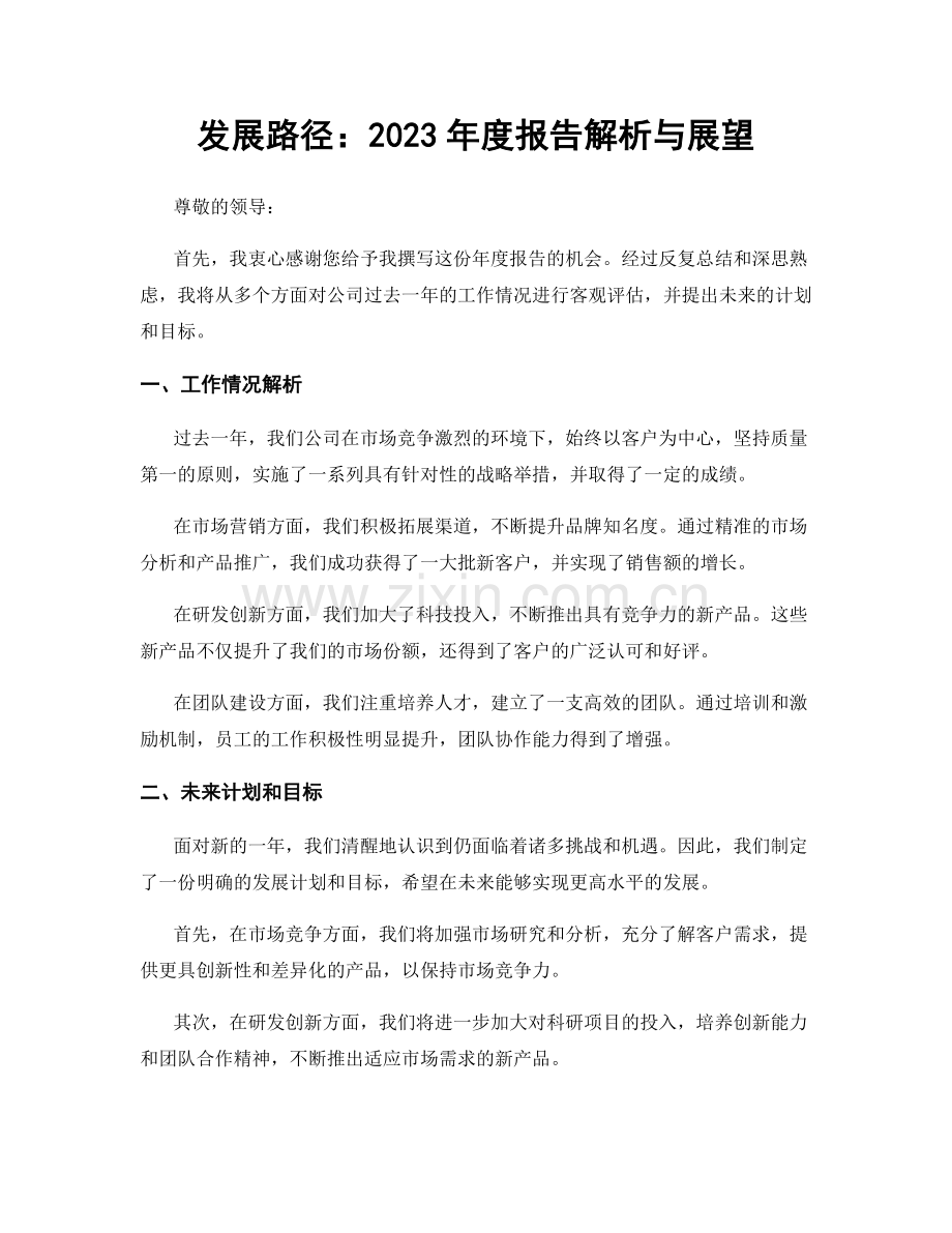 发展路径：2023年度报告解析与展望.docx_第1页