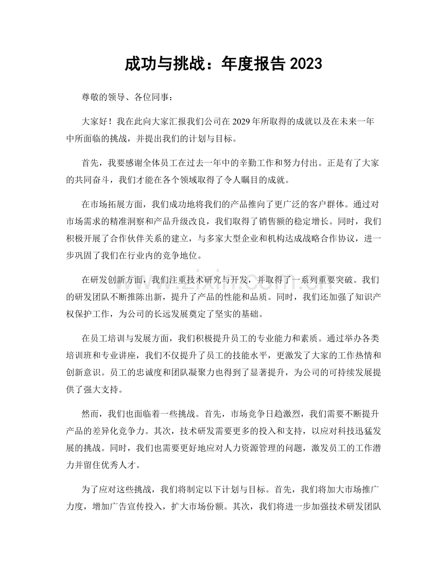 成功与挑战：年度报告2023.docx_第1页