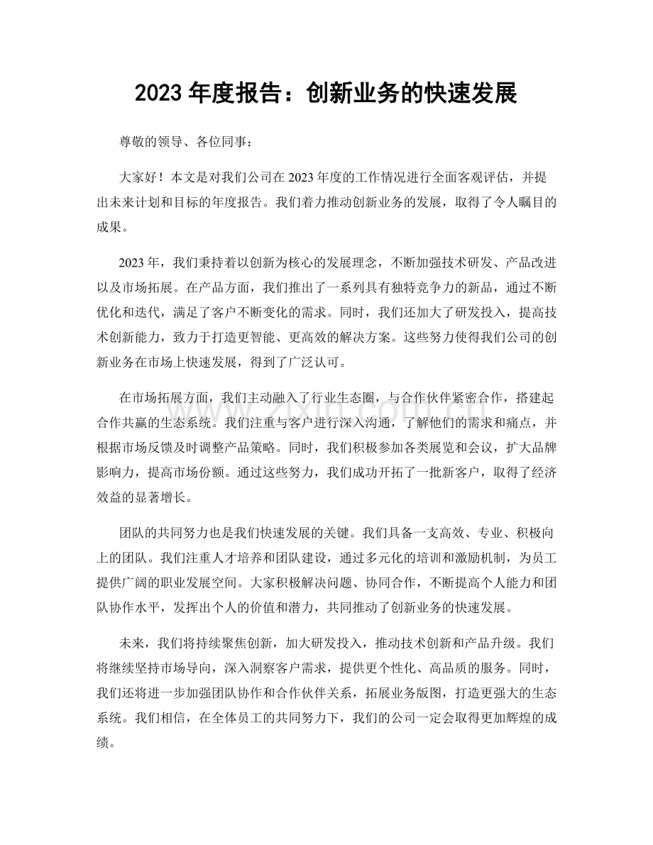 2023年度报告：创新业务的快速发展.docx_第1页