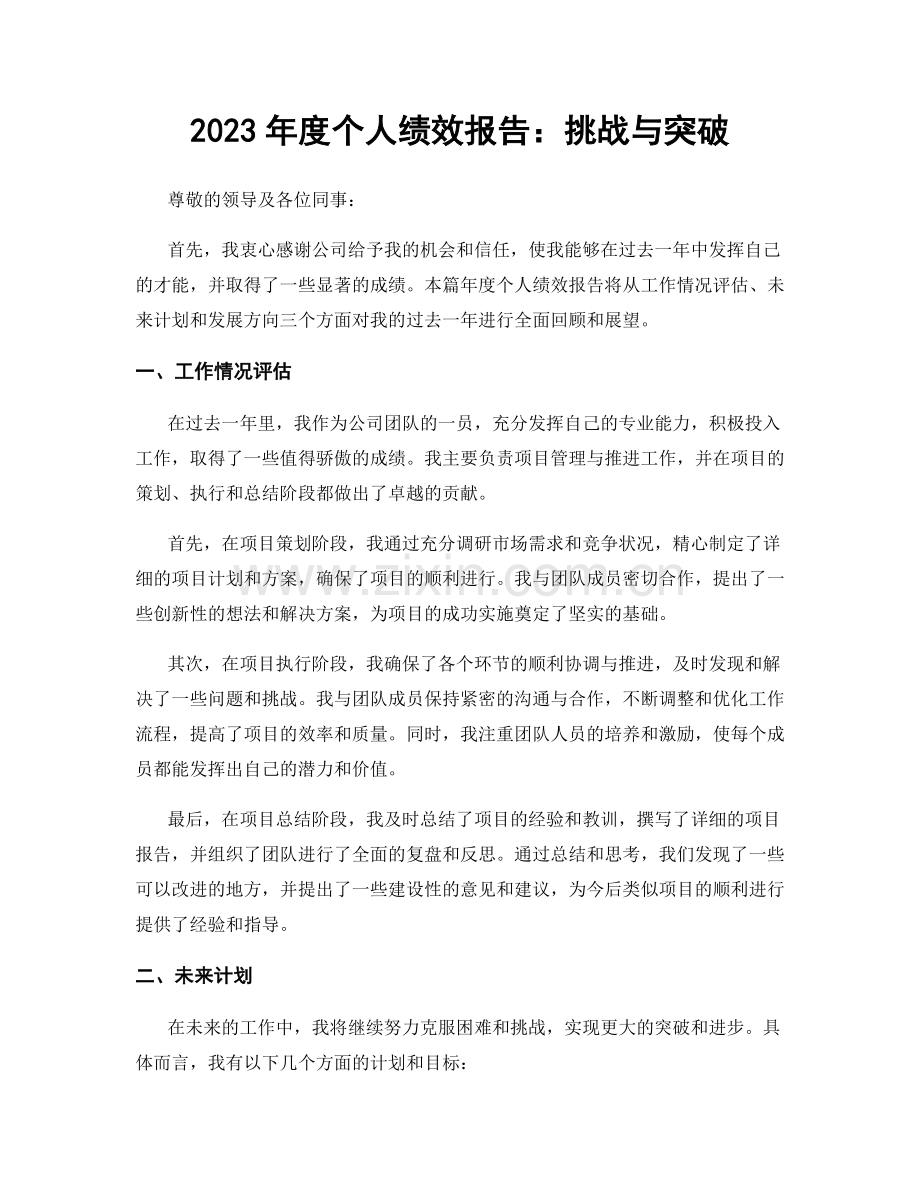 2023年度个人绩效报告：挑战与突破.docx_第1页