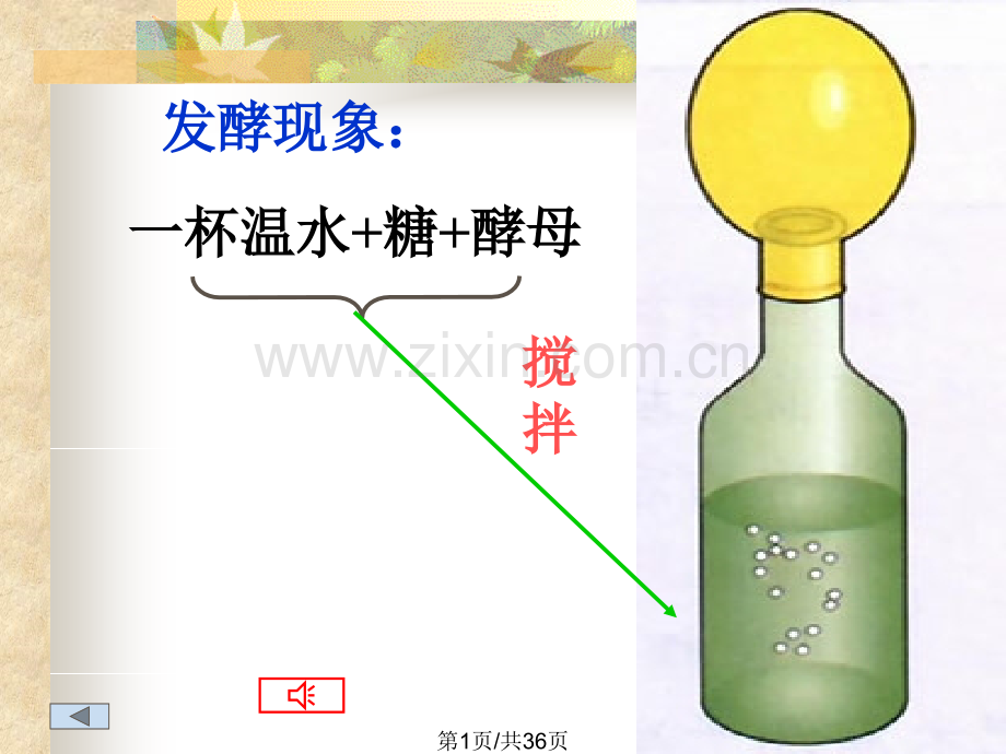 五二人类对细菌和真菌利用.pptx_第1页