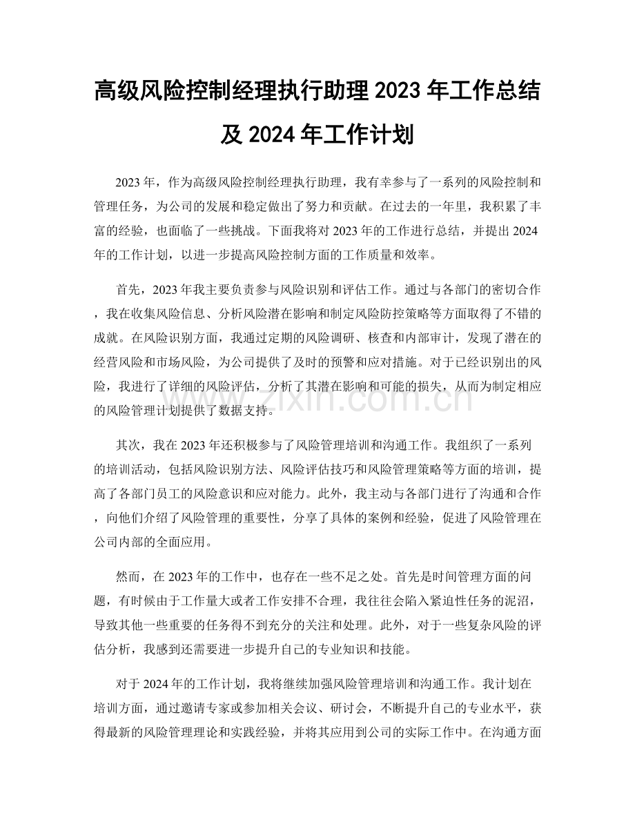 高级风险控制经理执行助理2023年工作总结及2024年工作计划.docx_第1页